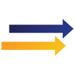 Visa speed icon